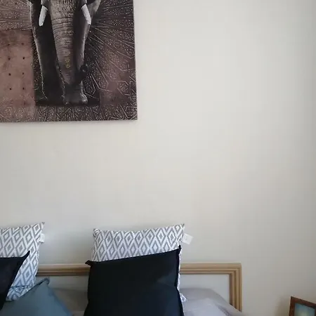 Comfort Terrace