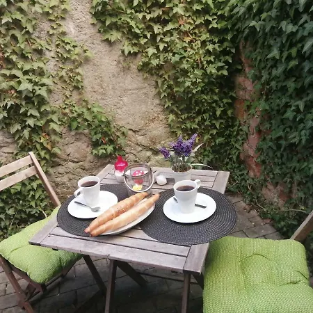 Comfort Terrace * كارلوفي فاري